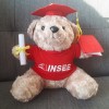 Gấu bông tốt nghiệp cho trường mầm non